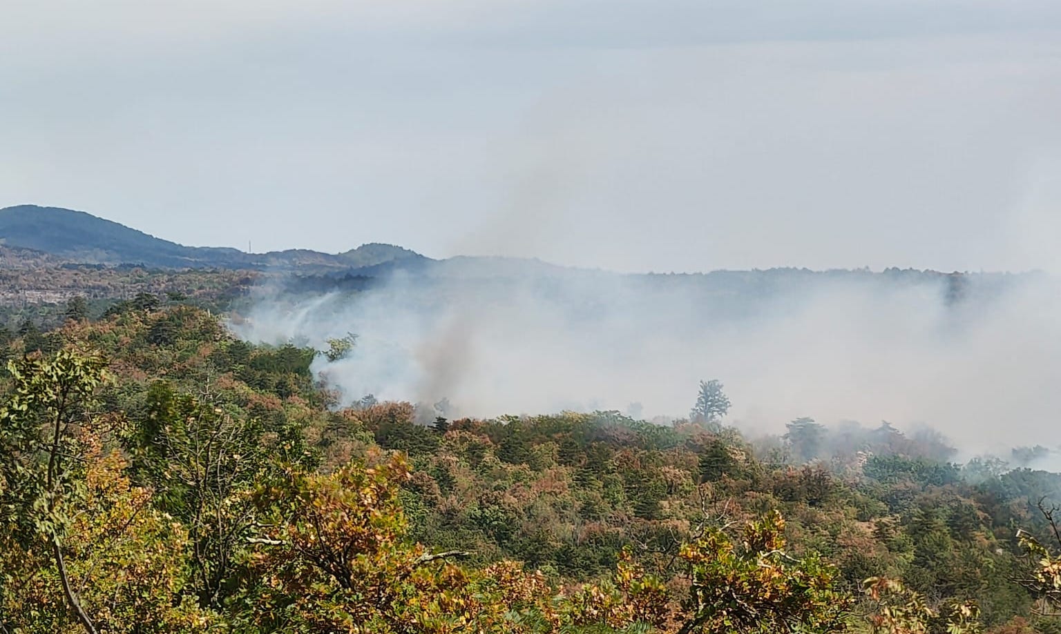 Ancora fiamme sul Carso, scoppia nuovo incendio sul Brestovec